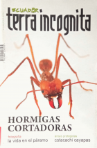 Portada local